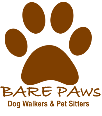 Bare Paws NYC Dog Walkers & Pet Sitters